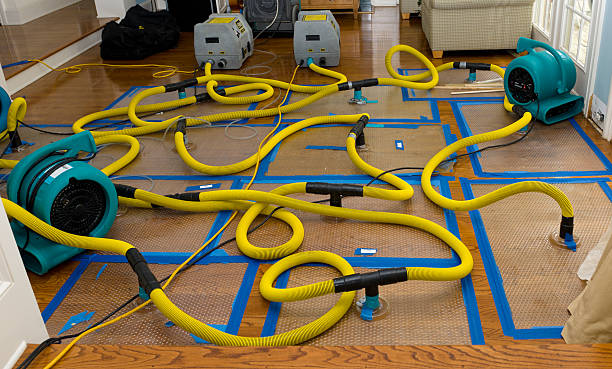 Professional Crawl Space Water Removal technician working in Big Sandy, TN